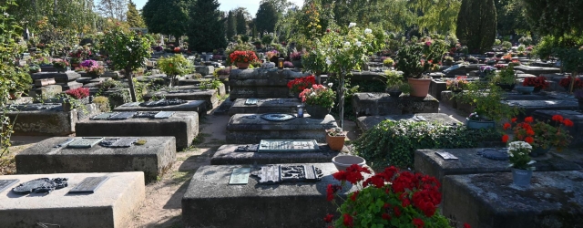 Liegende Sandsteinplatten und Bronzeepitaphien auf dem Johannisfriedhof