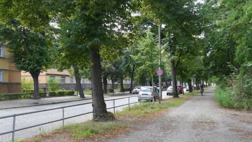 Die angrenzende Schönefelder Allee