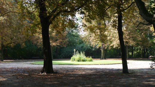 Blumenrondell und alte Kastanien am Hauptweg