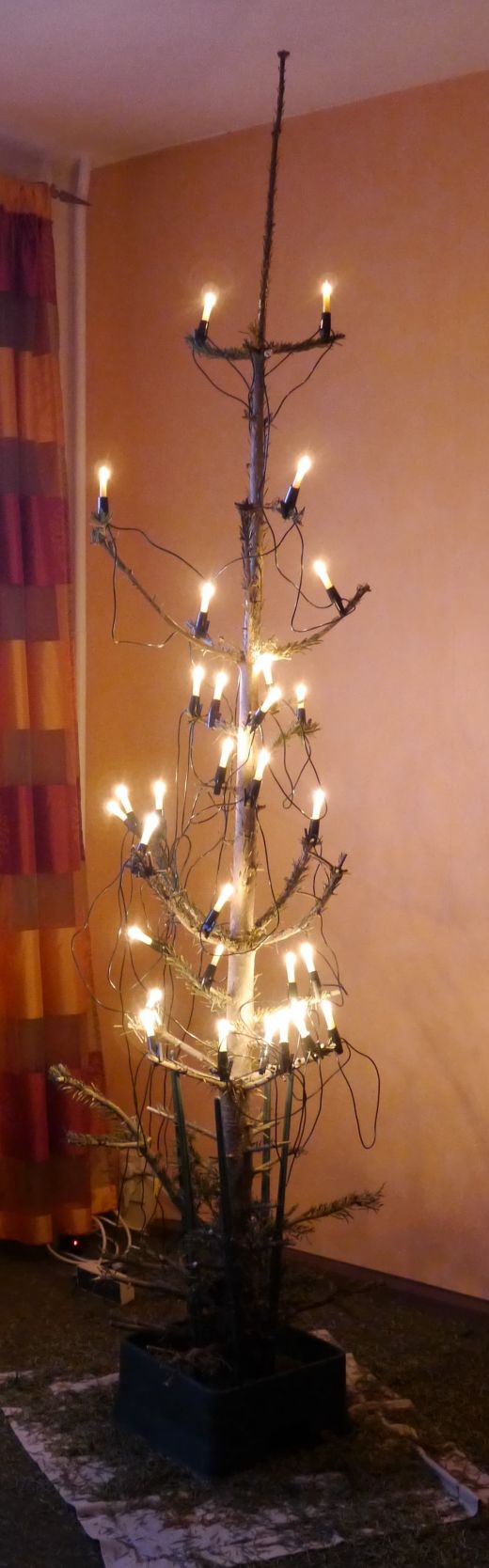 Abschied vom Weihnachtsbaum