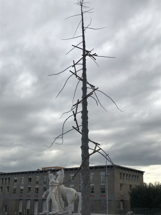 Tanne von Penone  vor Palazzo della Civiltà Italiana, Rom