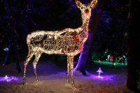 Lichterpark im Europahaus in Wien